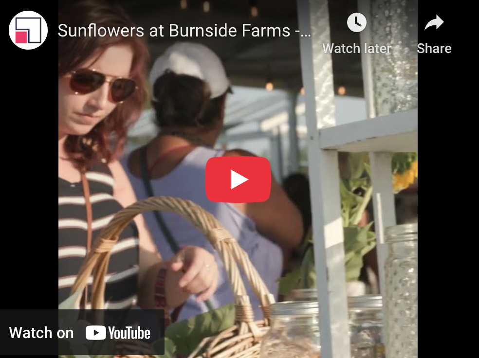 Burnside YT