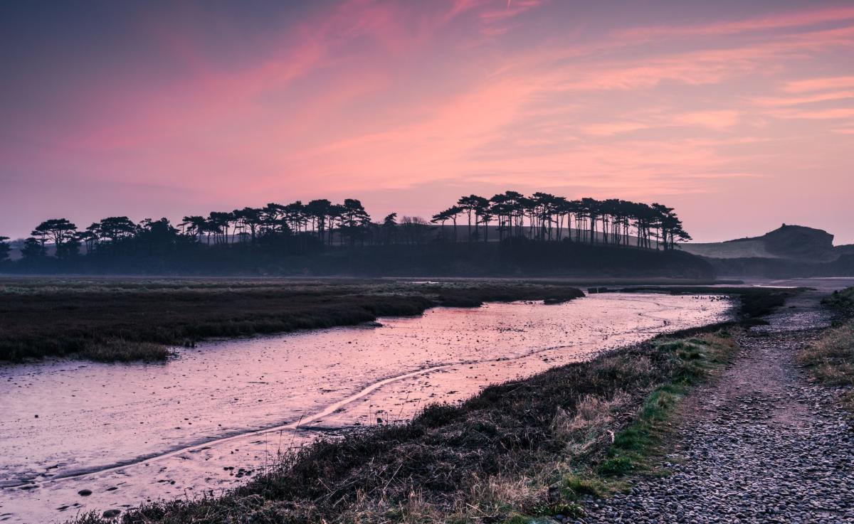 A serene landscape at sunset with a pink and purple sky. A river winds through marshland, with a silhouette of trees on the horizon, evoking tranquillity.