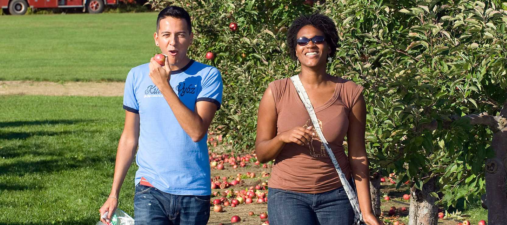 Fall Fun Wiard's Orchard