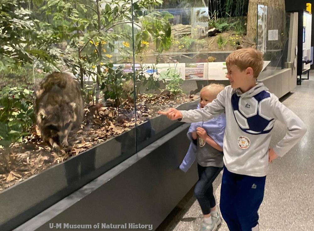 UM Museum of Natural History inside exhibit