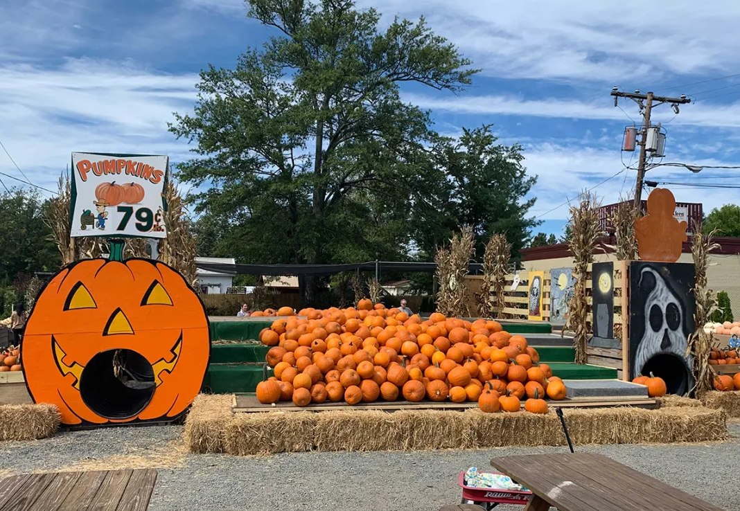 Nalls Produce Pumpkin Hill