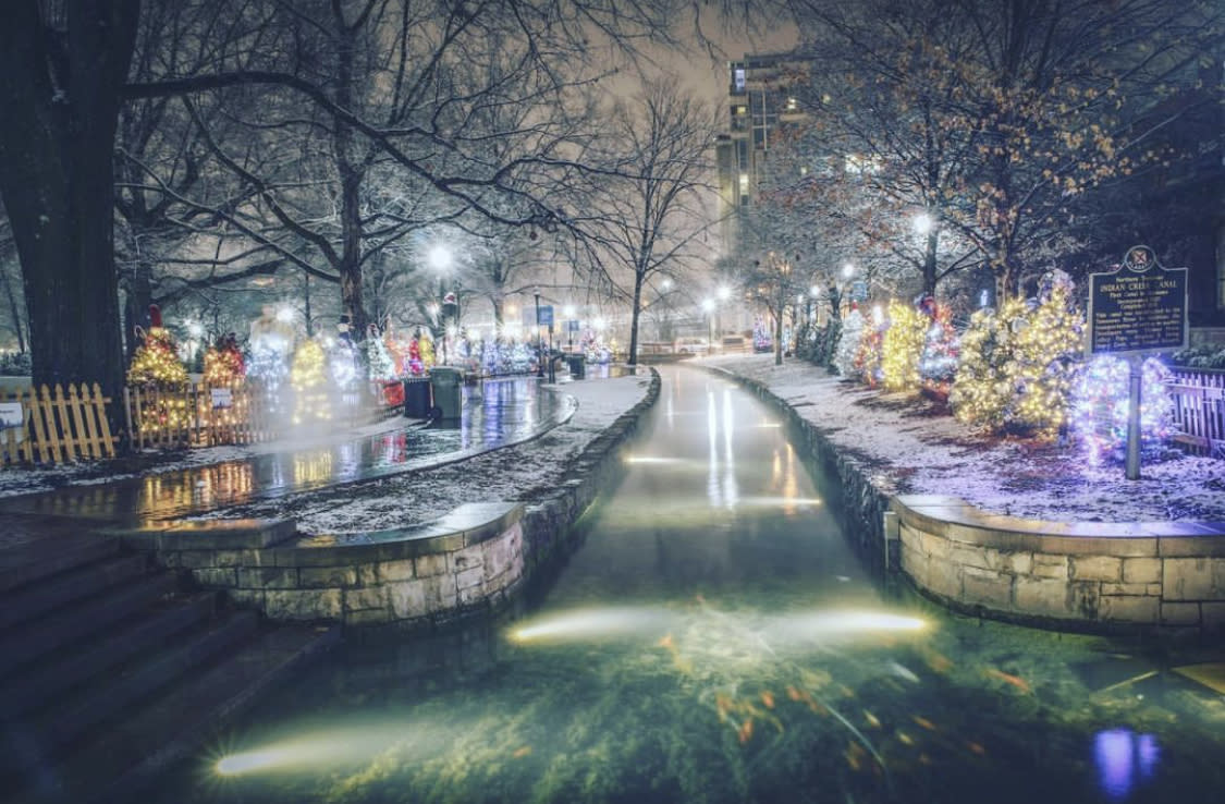 A canal lined with brightly colored Christmas trees along the Tinsel Trail in Huntsville, Alabama