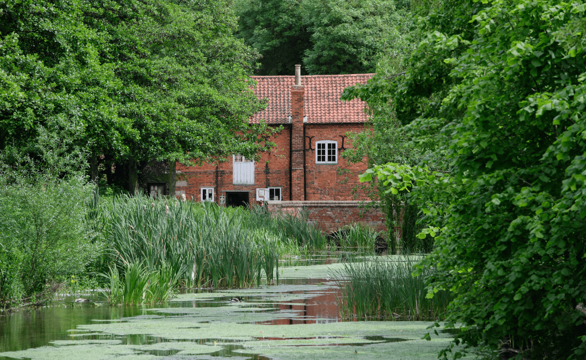 photo of Cogglesford Mill amidst a moss covered lake and trees