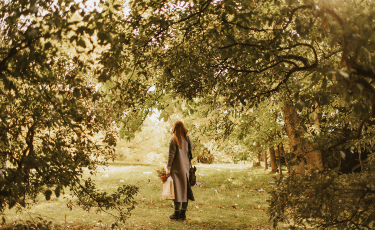 A path  through the low tree tops. Warm colors and a woman in center frame.