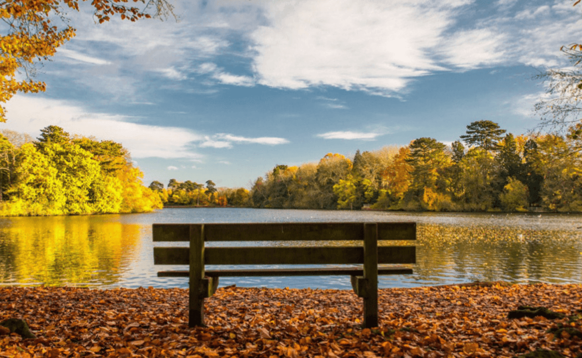 A nicely framed image of a bench centred near the bottom facing a lovely lake