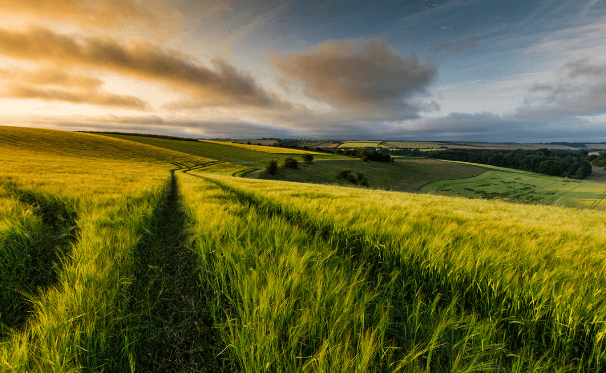 A landscape view of Wolds Fields at sunset