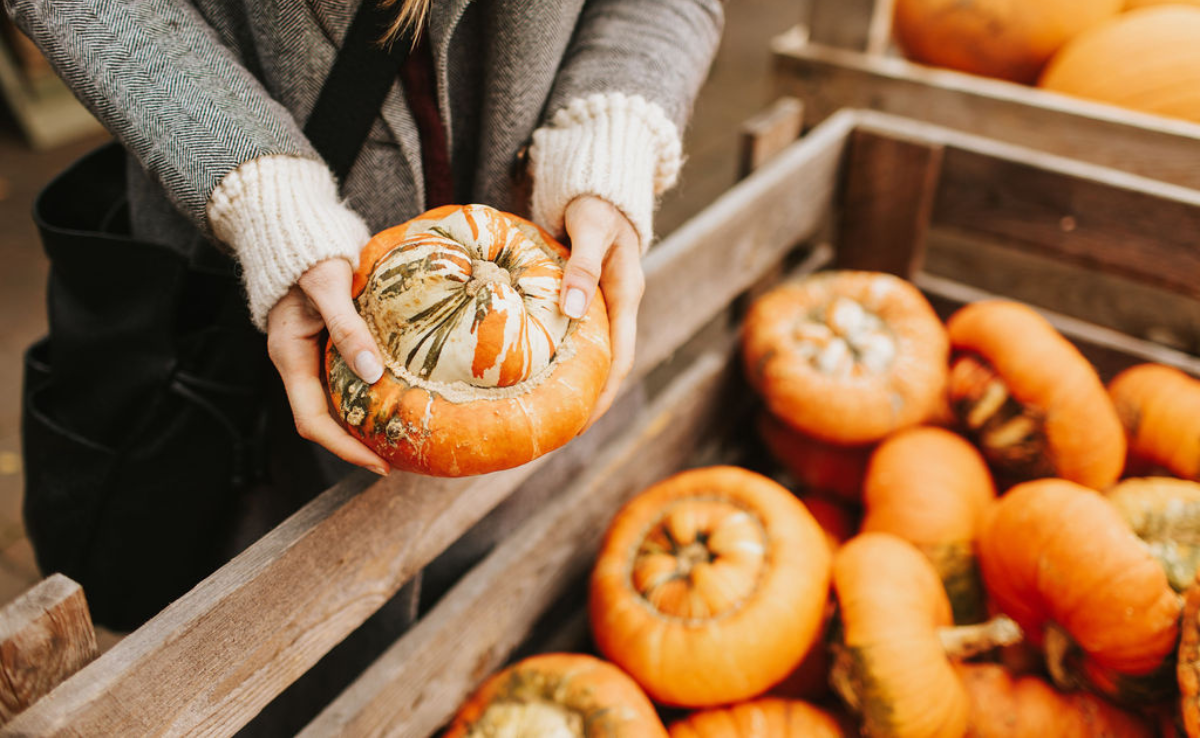 person picking up a pumpkin from a basket