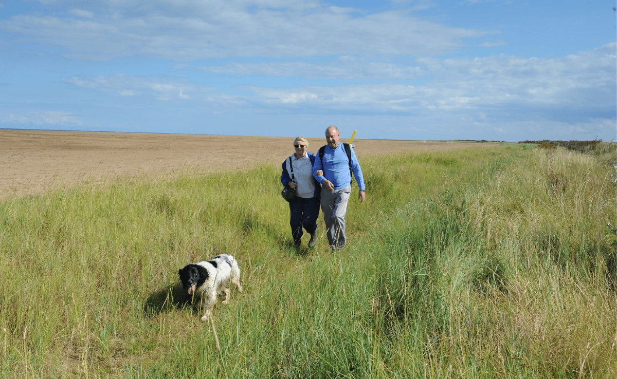 an elderly couple walking with their dog