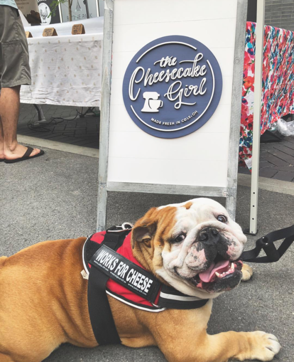 Dublin Market Dog