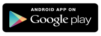 Play Store Icon