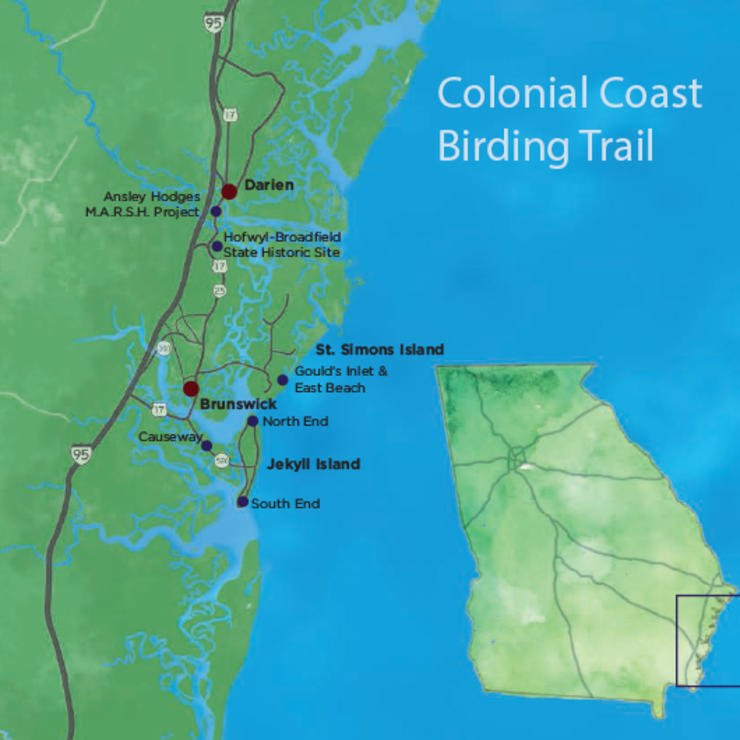 map of georgia beaches Golden Isles Maps Golden Isles Georgia map of georgia beaches