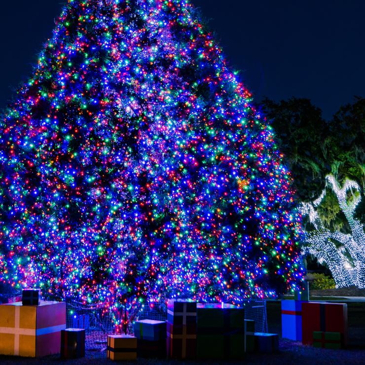 Holly Jolly Jekyll Jekyll Island Christmas Lights Events