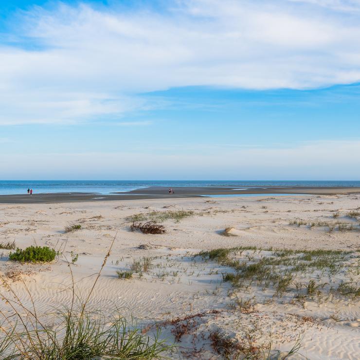 Golden Isles Beaches Driftwood Beach East 7 Mile Golden Isles Beaches Driftwood Beach