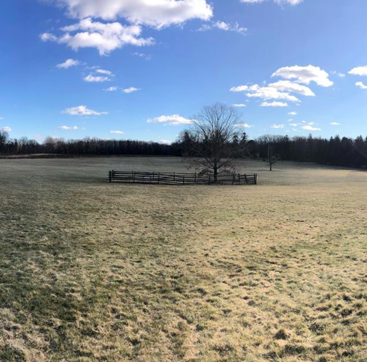 Princeton Battlefield on a sunny day