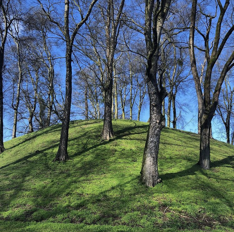 florence indian mound