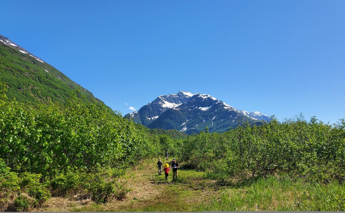 people volunteering to maintain a hiking trail