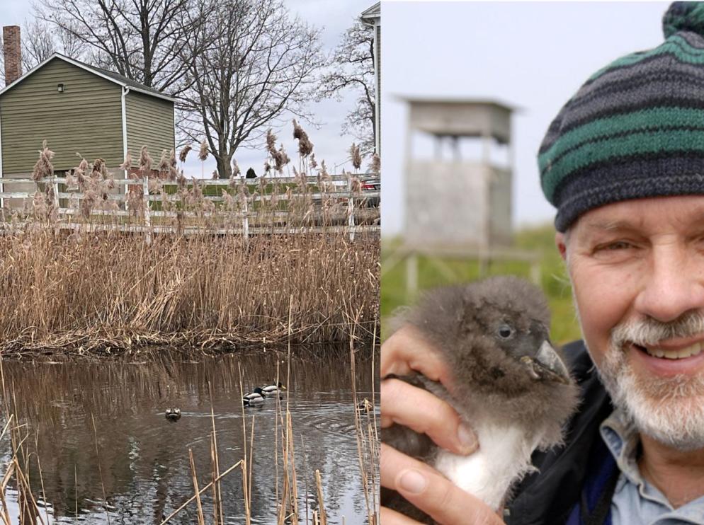 Bird Walk at Rose Hill