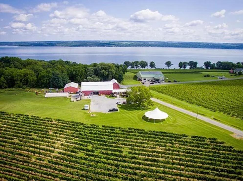 CAYUGA RIDGE ESTATE