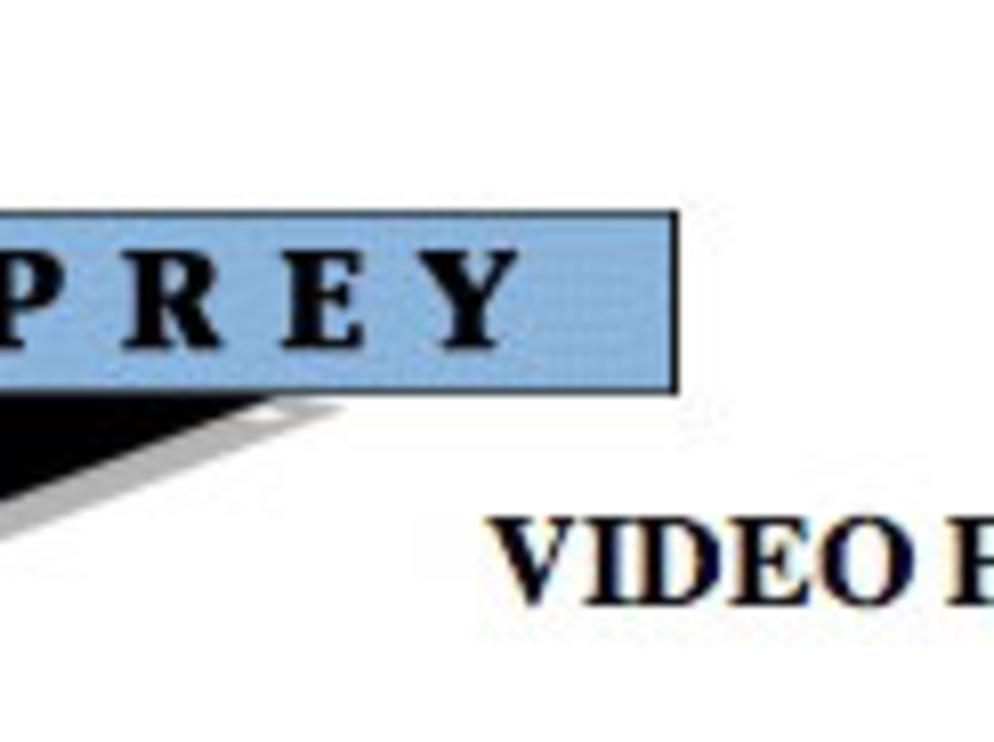 Duprey Video Logo