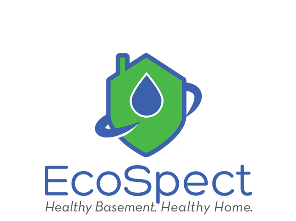 EcoSpect Inc Basement Waterproofing