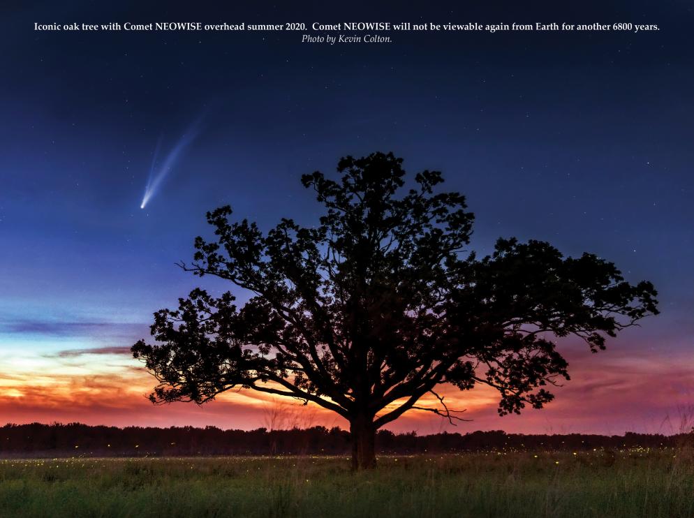 Iconic Oak with Comet Neowise and fire flies