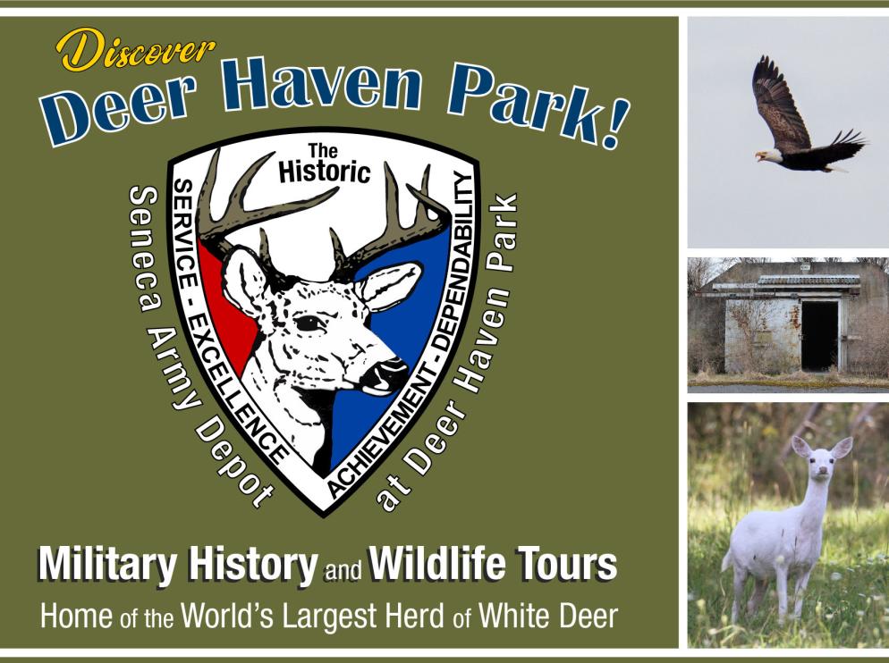 Military History & Wildlife Tours