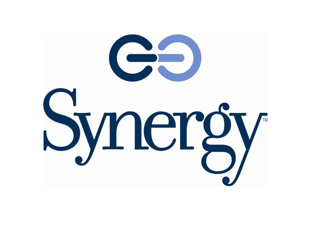 SYNERGY GLOBAL SOLUTIONS