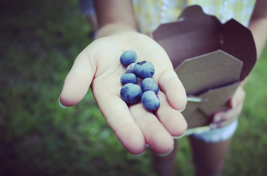 a child holding a handful of blueberries