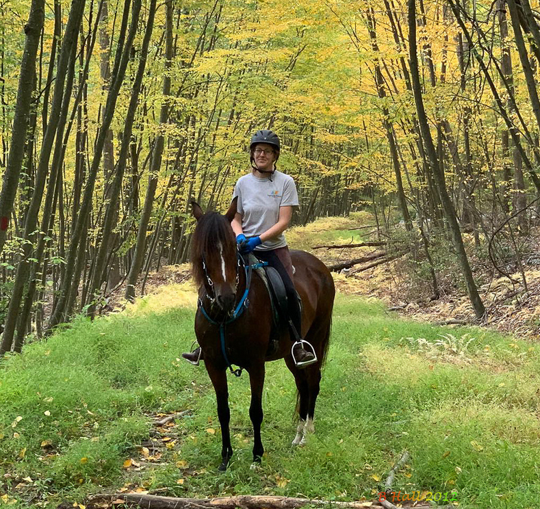 Horseback-riding-fall-2