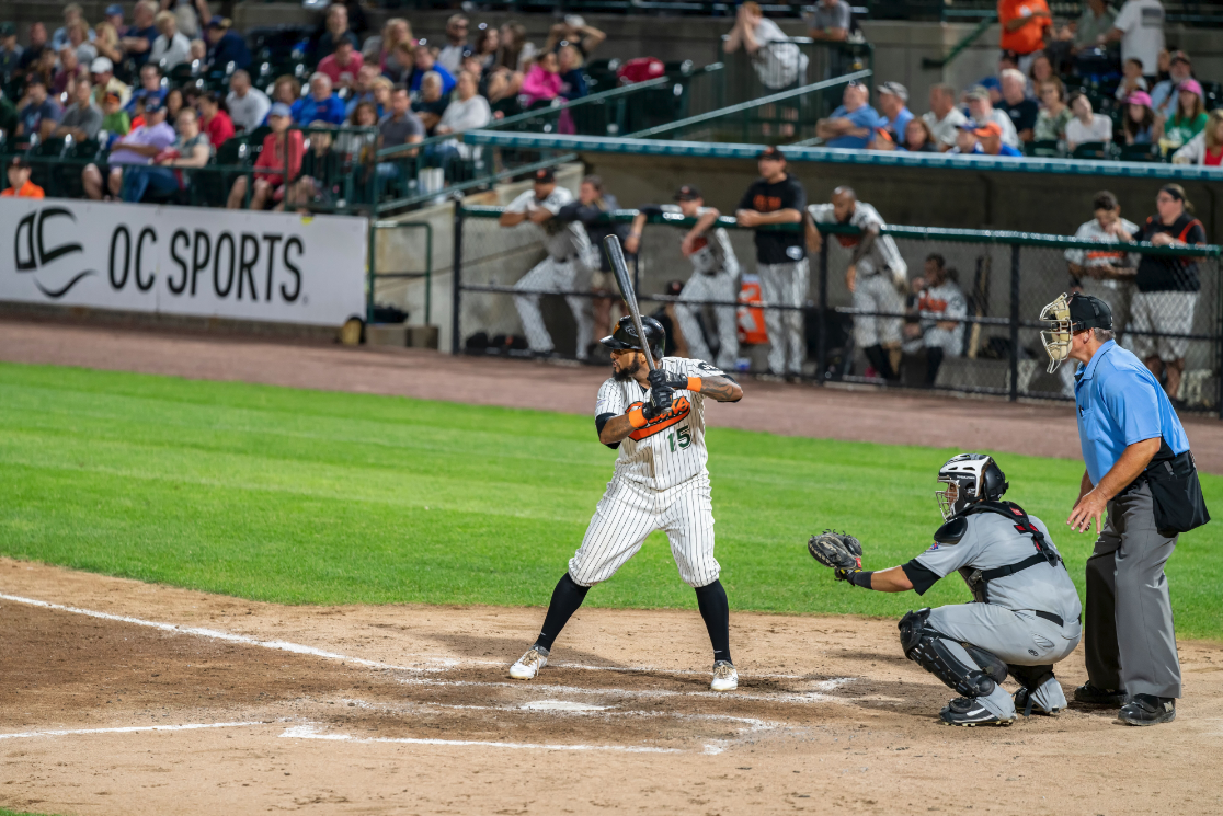 Long Island Ducks