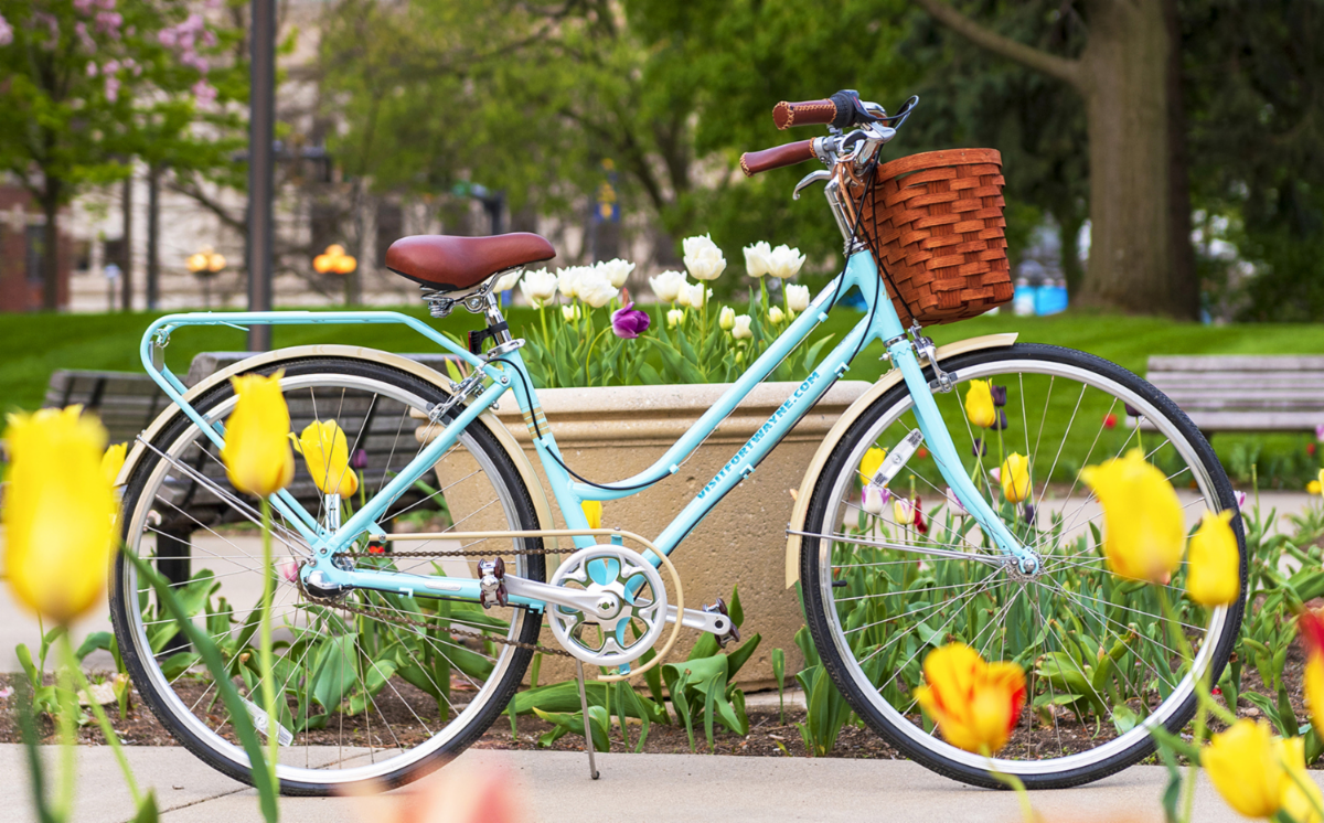 Izzy the Bike