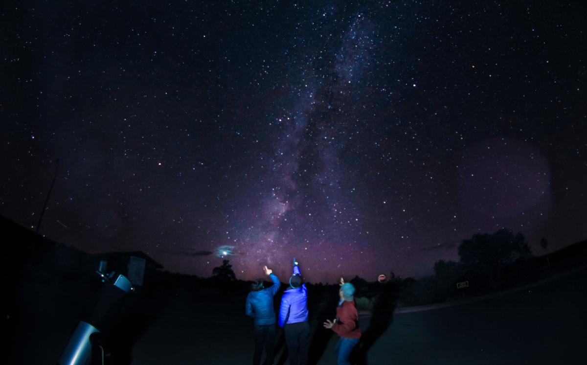 Stargazers_Cedar