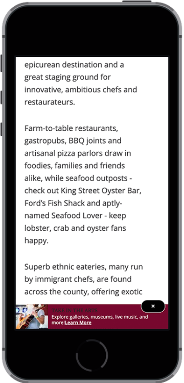 DTN - Media Kit - iPhone Mock