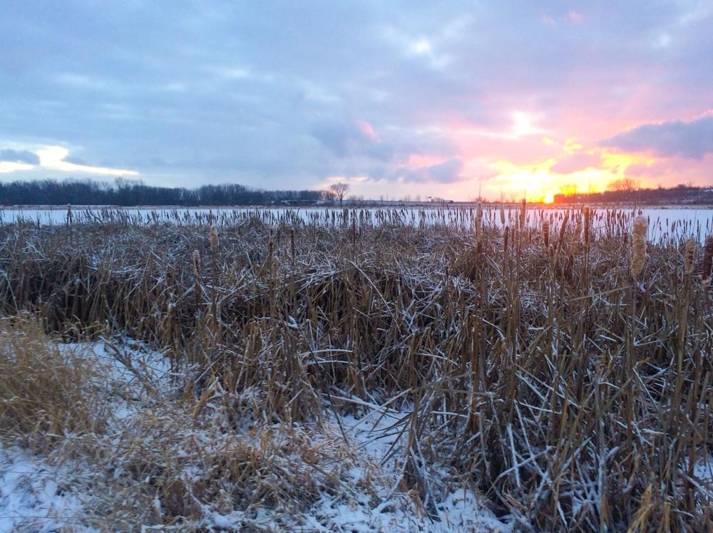 Winter sunrise at Eagle Marsh Nature Preserve in Fort Wayne