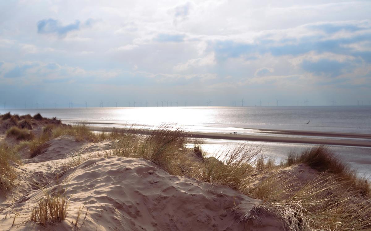 Sand dunes covered in long grass overlooking a wide sandy beach and calm sea, with sunlight reflecting on the water and a line of offshore wind turbines visible on the horizon beneath a cloudy sky.