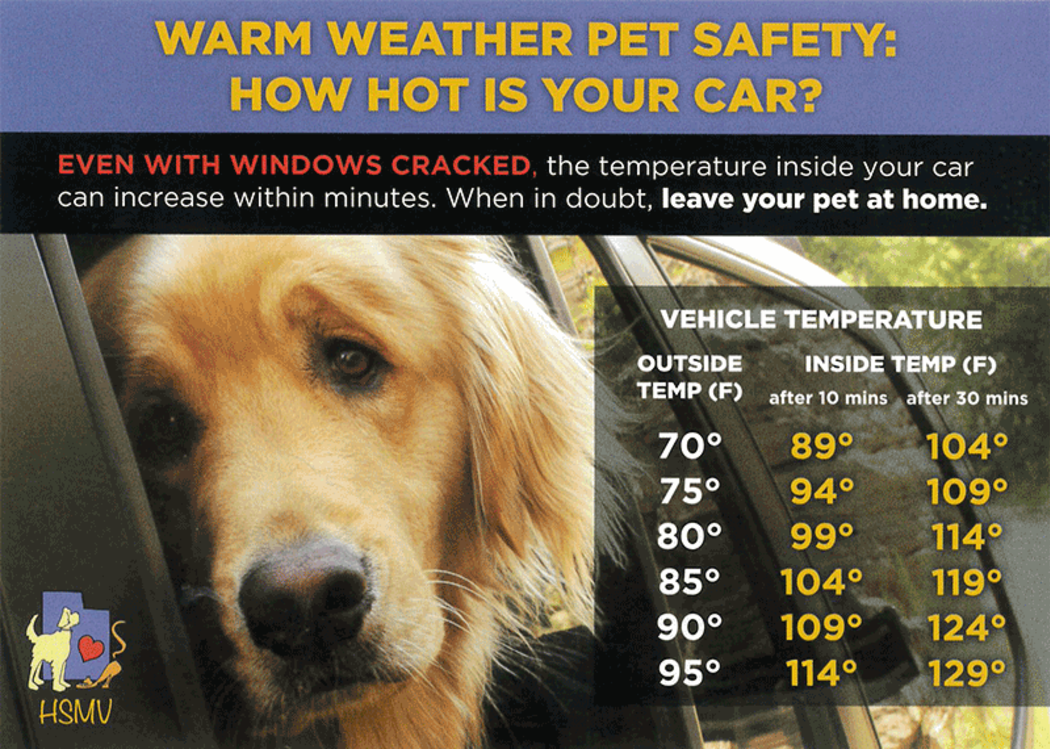 Pet Safety information