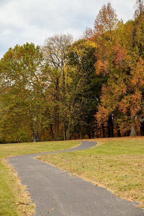 Sam Peden Walking Trail