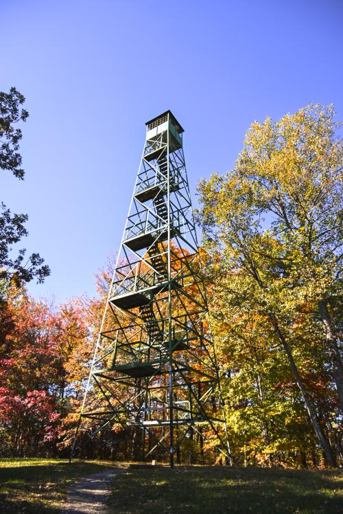 Clarks State Forrest