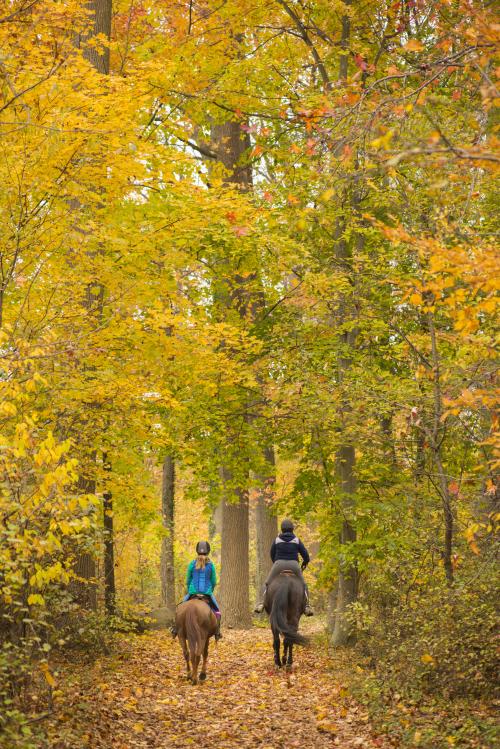 Bellevue State Park