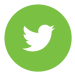 twitter_circle_color-512_pp