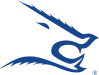 Javelina TAMUKingsville Athletics Logo