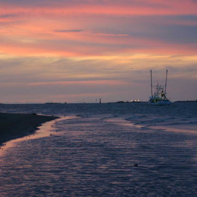Beach at sunset