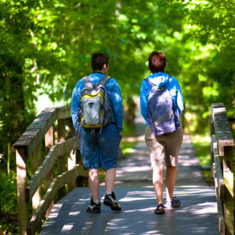 Things to Do in Jefferson Parish