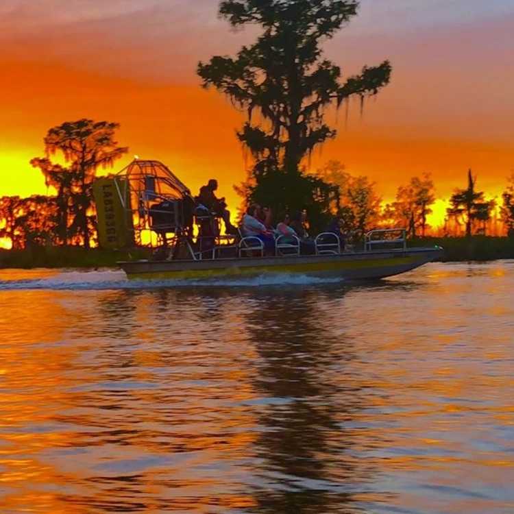 Ultimate Swamp Adventues