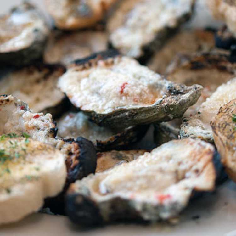 Oysters