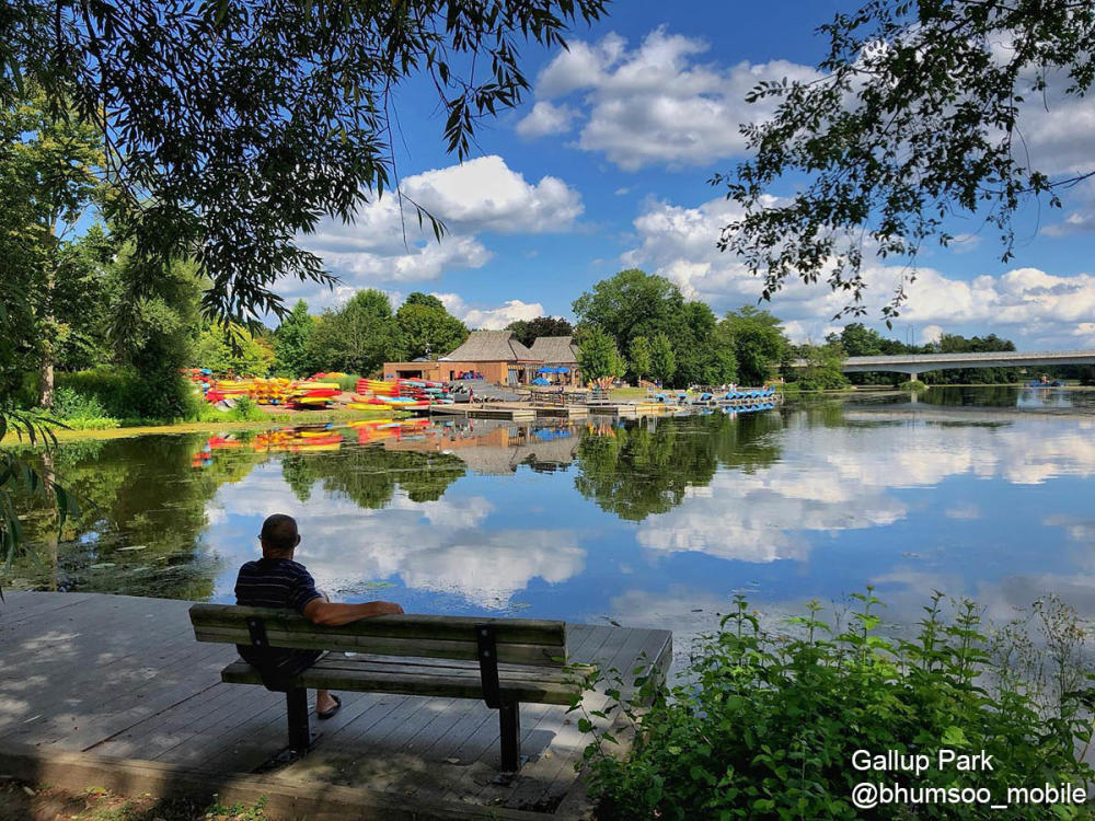 Man on bench in Gallup Park