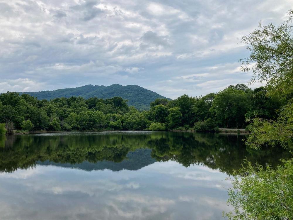 Charles D Owen Park Lake View