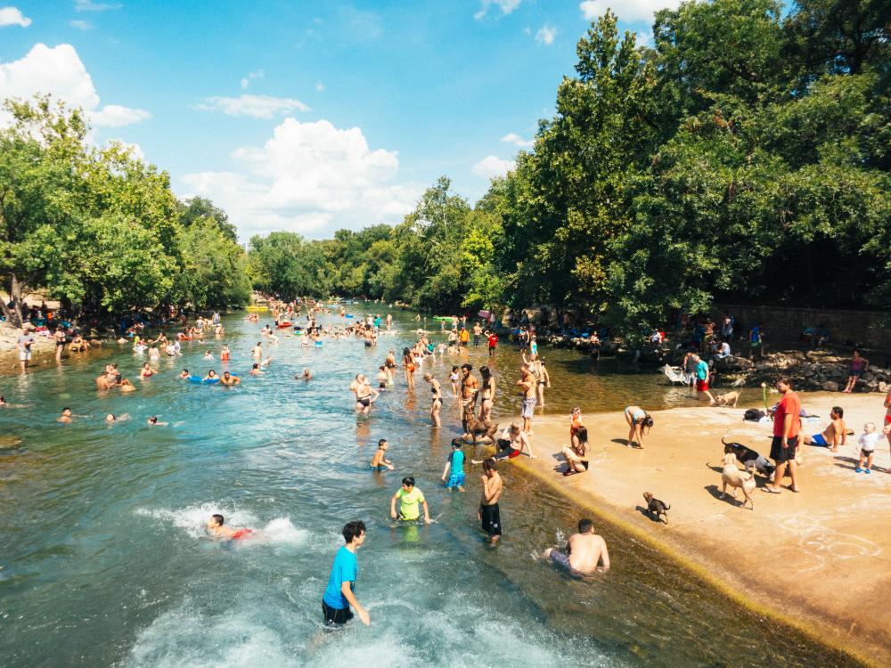 A crowd of people and dogs swim in the shallow spring water of Barkin Springs on a sunny day