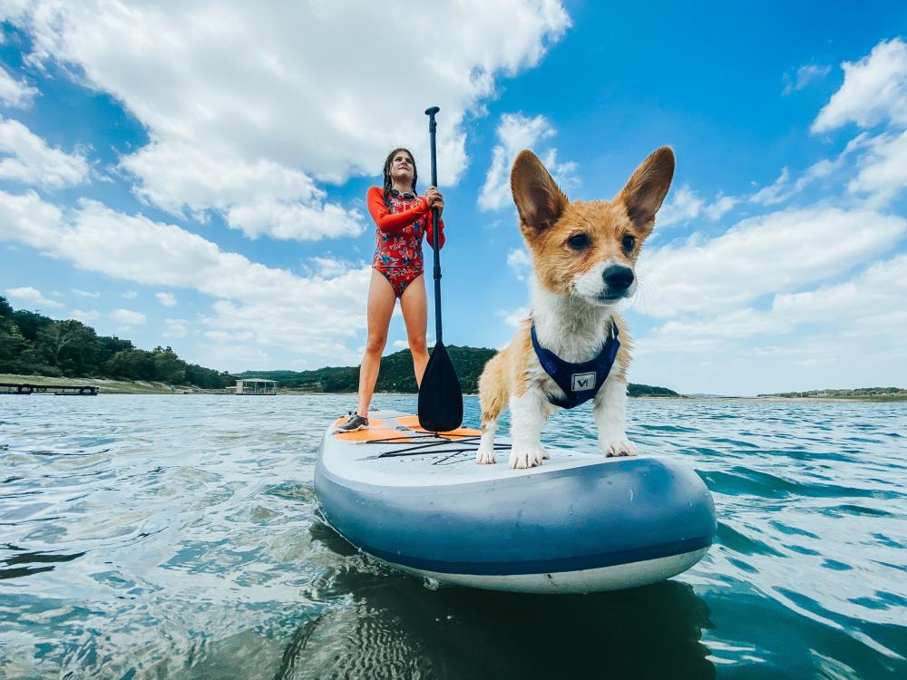 Woman and her corgi dog on a Stand up paddleboard on Lake Travis near Austin Texas