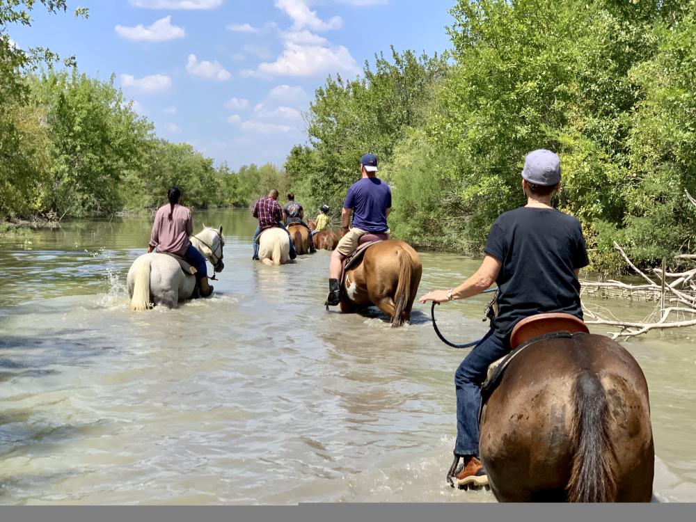 50 Fun Things to Do in Austin, TX Visit Austin, Texas